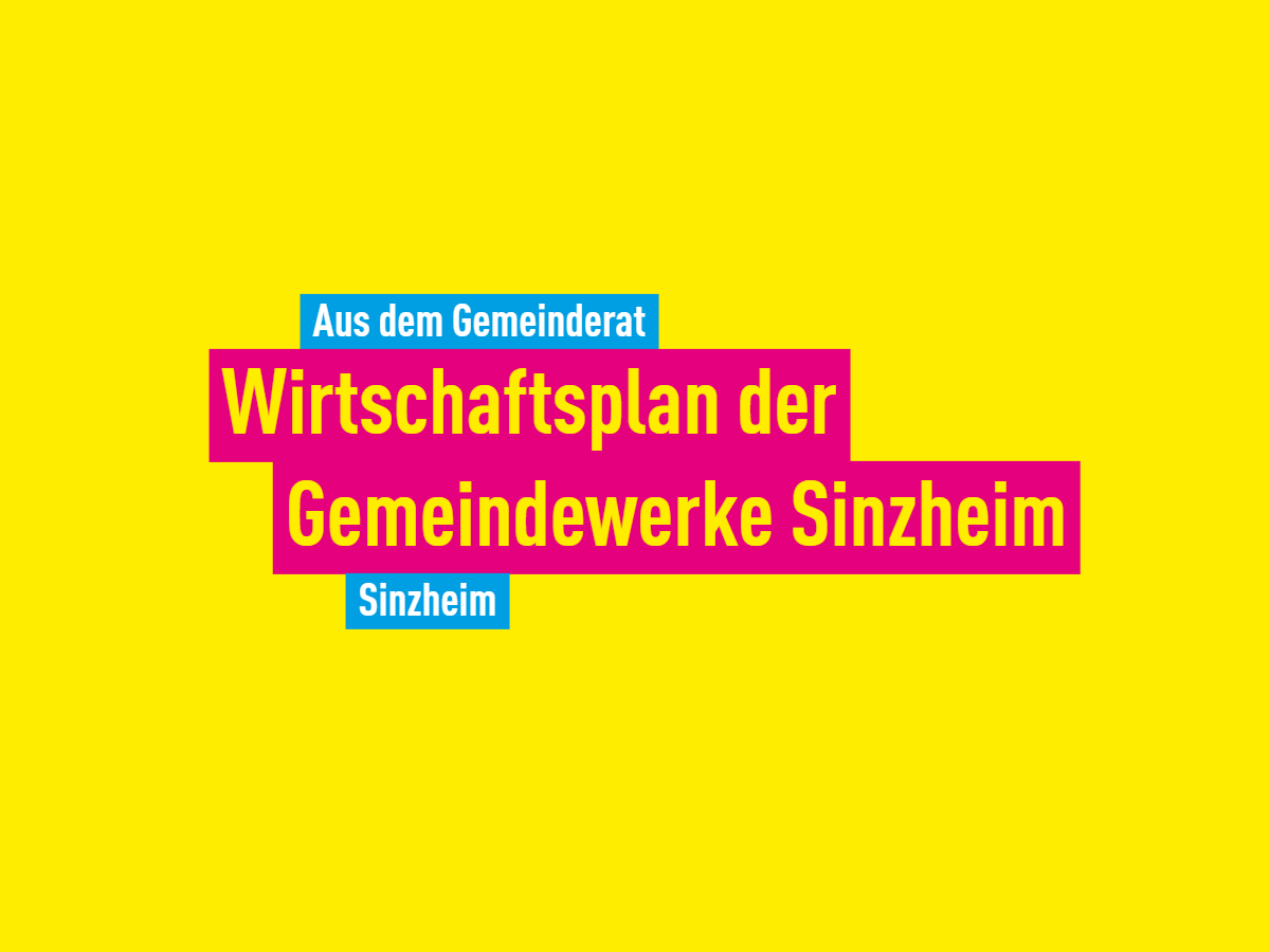 FDP Sinzheim