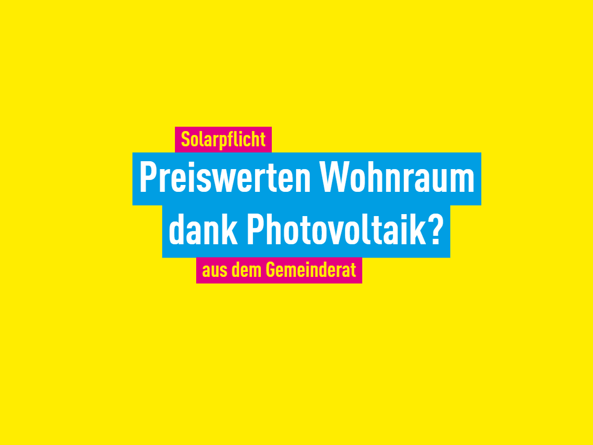 Solarpflicht FDP Sinzheim Neubaugebiet