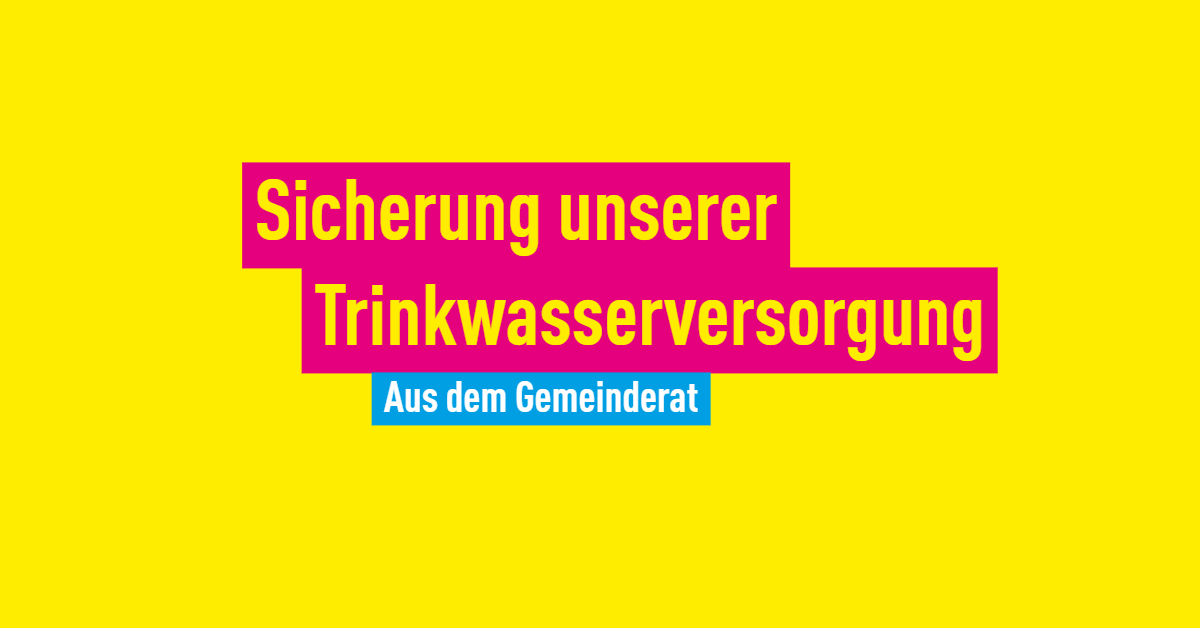 FDP Sinzheim