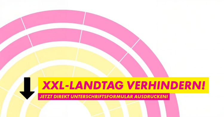 FDP Liberaldemokratie Freie Demokraten XXL-Landtag