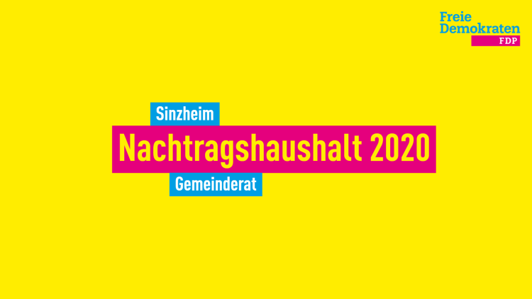 Nachtragshaushalt 2020