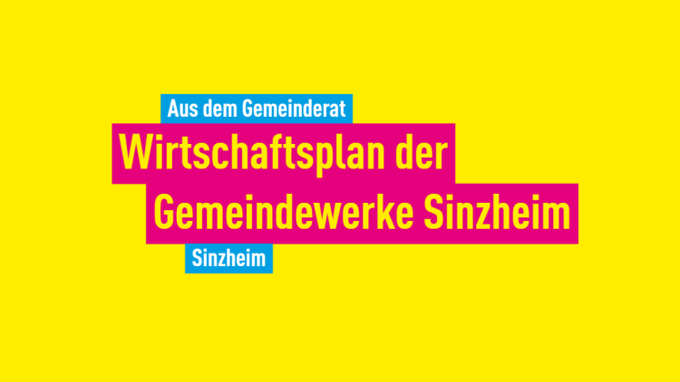 FDP Sinzheim