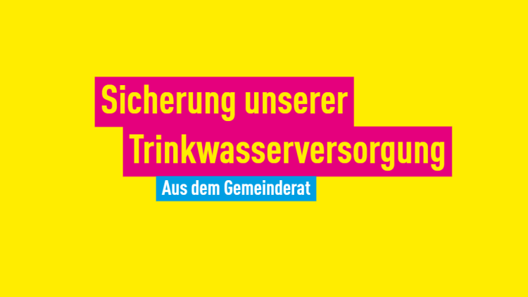 FDP Sinzheim