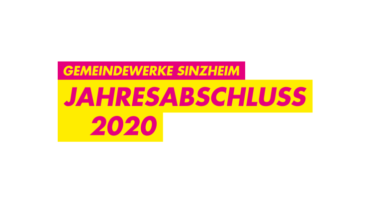 FDP Sinzheim