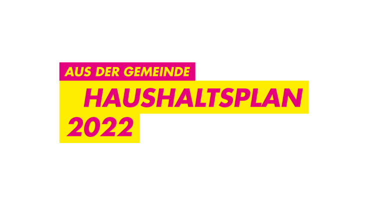 FDP Sinzheim Haushaltsplan 2022 Ortsverband Politik Gemeinderat Finanzen - Simon Kübel