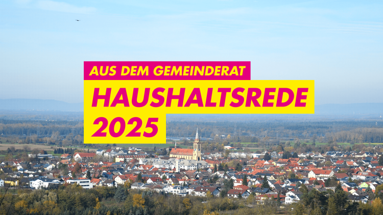 FDP Sinzheim Kurt Rohner Bundestagswahl 2025