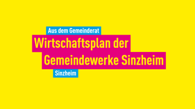 FDP Sinzheim