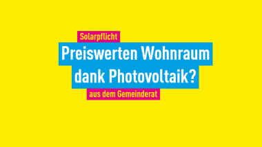 Solarpflicht FDP Sinzheim Neubaugebiet