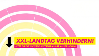 FDP Liberaldemokratie Freie Demokraten XXL-Landtag